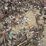 Des billes de plastiques sur une plage de la côte Aquitaine. © Maldeseine