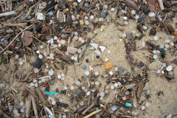 Des billes de plastiques sur une plage de la côte Aquitaine. © Maldeseine