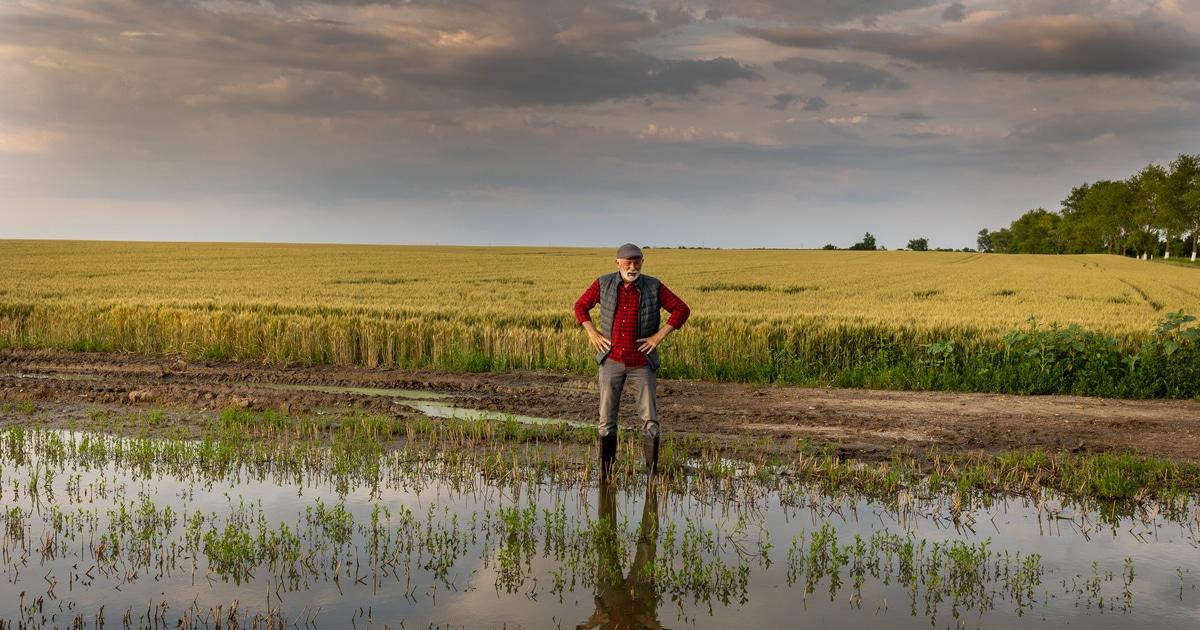 Catastrophes naturelles : comment mieux assurer et indemniser les zones ...