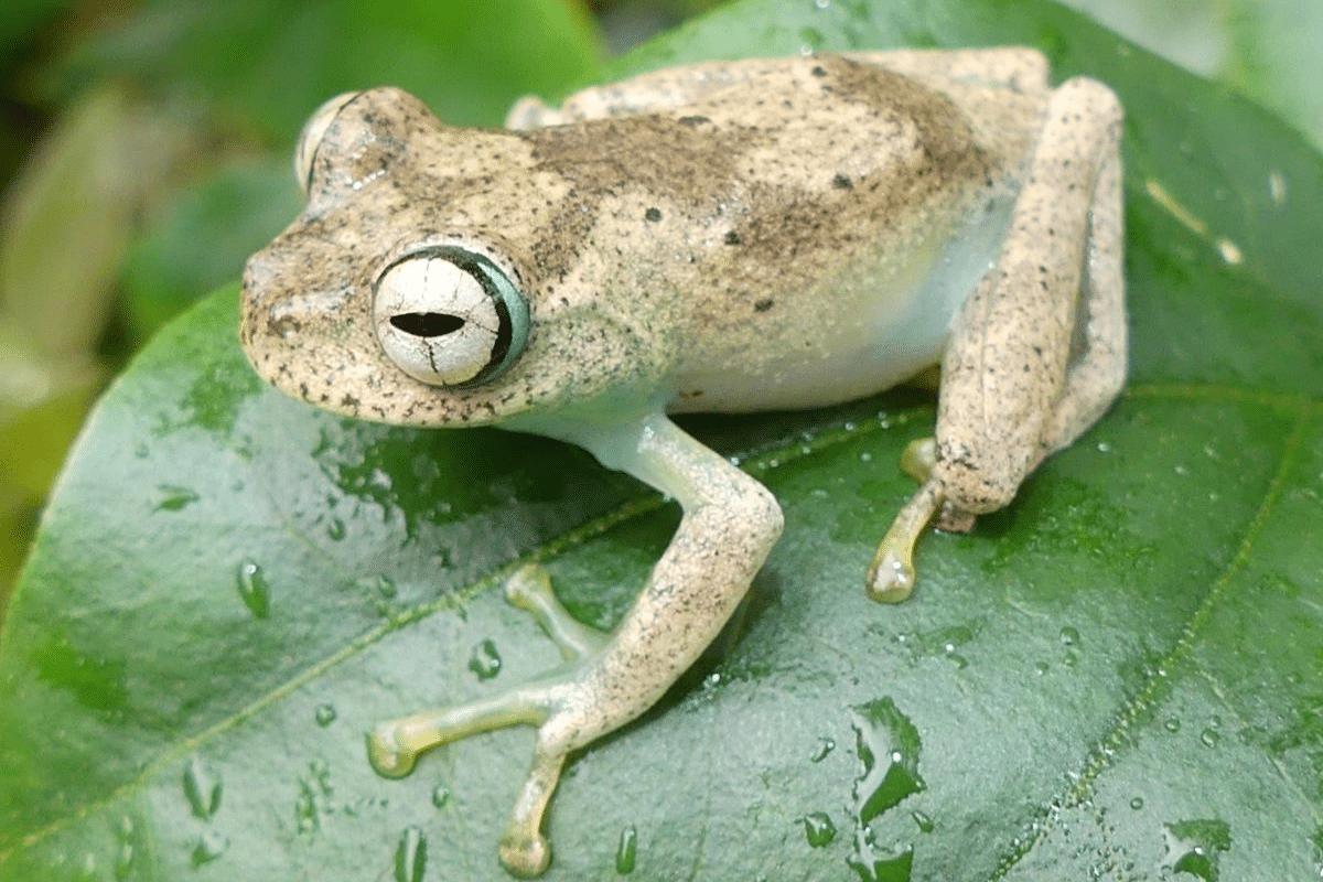 illustration de la dernière édition