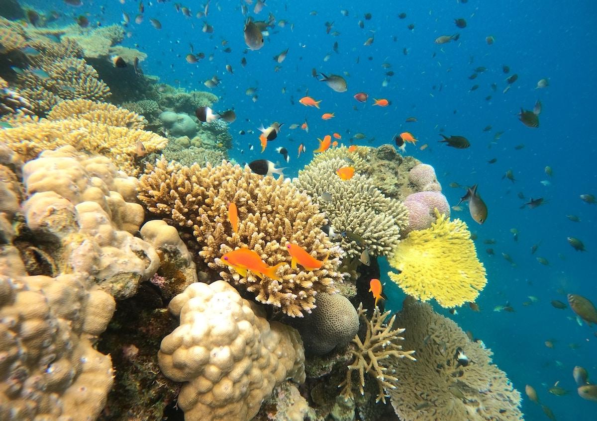 Il y eut un matin..., image size:1200x847