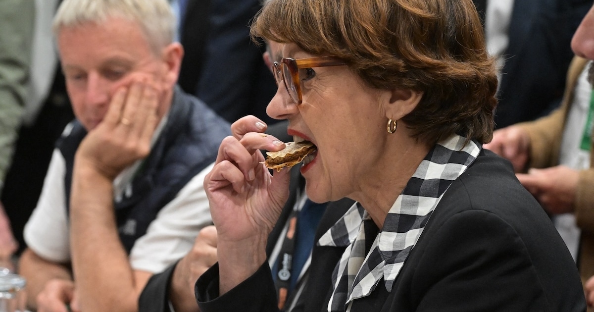 Le gouvernement retarde encore la publication de sa feuille de route sur l’alimentation : «Quel message envoie-t-on aux Français qui crèvent de faim ?»