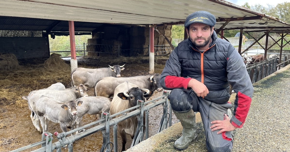 «Elle joue un rôle d’exutoire» : dans son bastion historique du Lot-et-Garonne, la Coordination rurale attire plus que jamais les agriculteurs