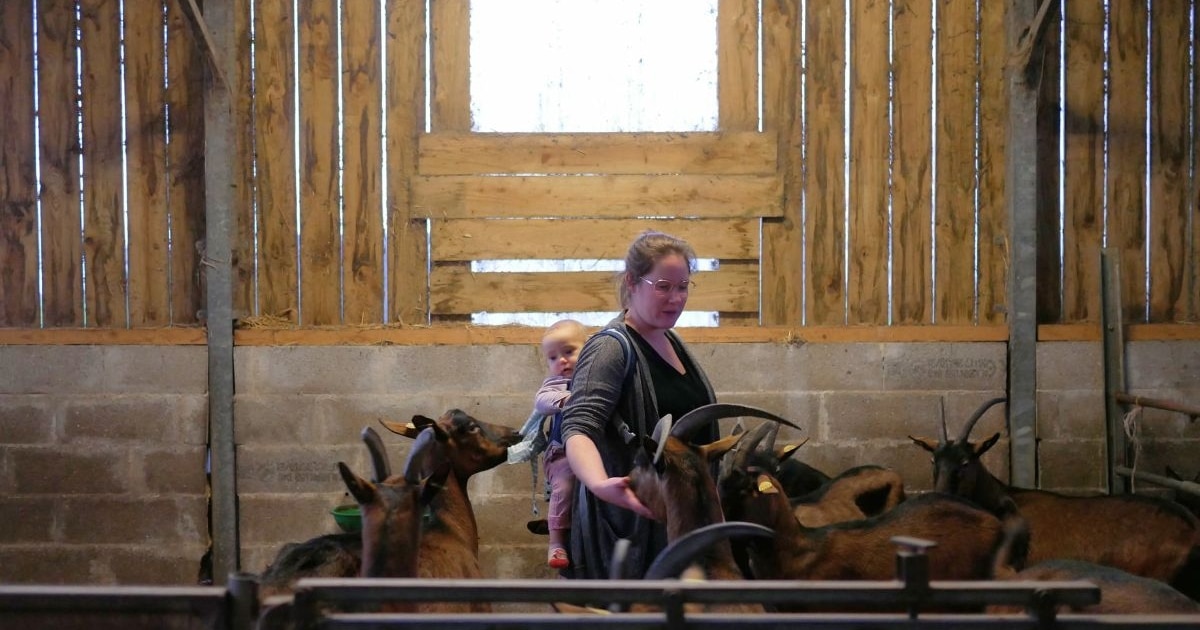 «Parler à mon père, c’est du stress» : en Normandie, un groupe de parole entre agricultrices face au sexisme dans leur travail