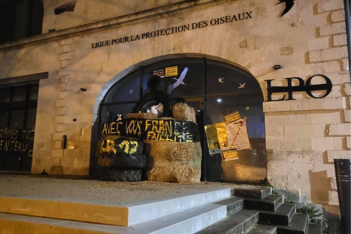 Sangliers décapités, pneus et bottes de paille : en Charente-Maritime, la Coordination rurale s&rsquo;en prend aux associations écologistes et à l&rsquo;OFB