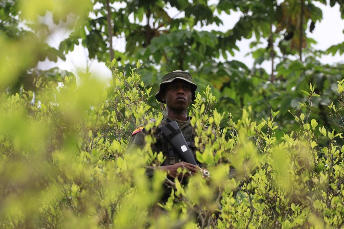 illustration de la dernière édition
