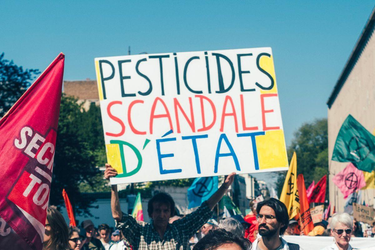 illustration de la dernière édition