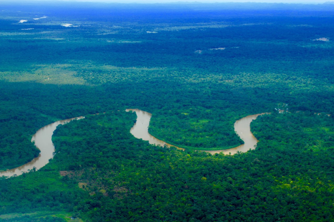 https://vert.eco/wp-content/uploads/2026/02/Meandros_Del_Rio_Atrato.jpg