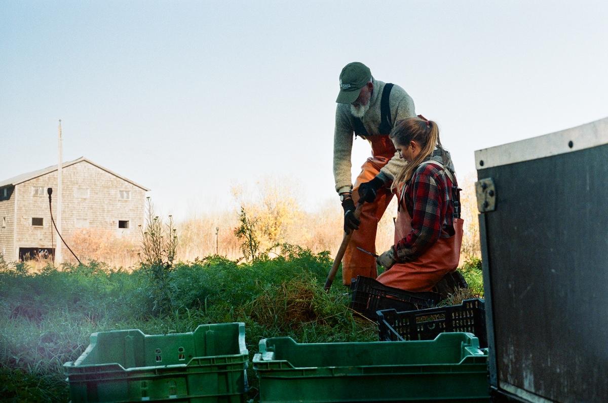 illustration de la dernière édition