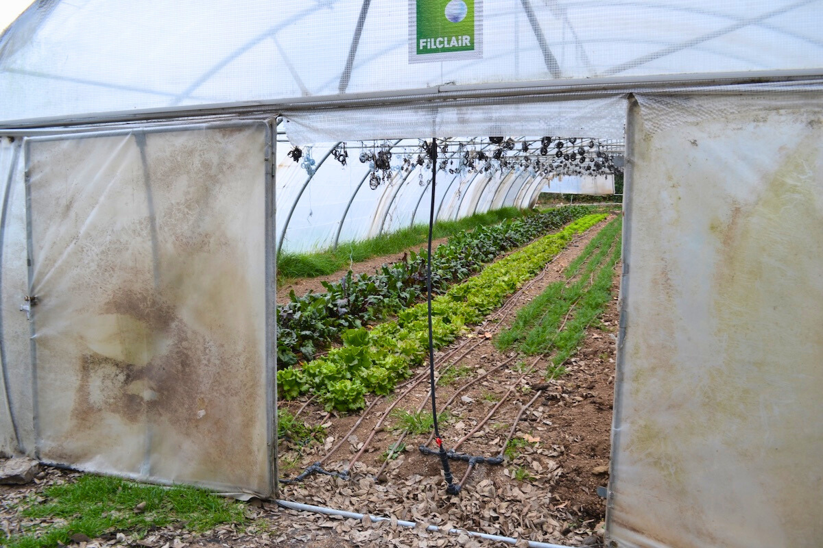 illustration de la dernière édition