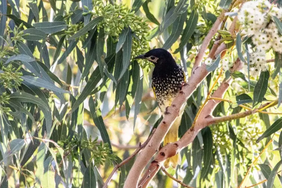 illustration de la dernière édition
