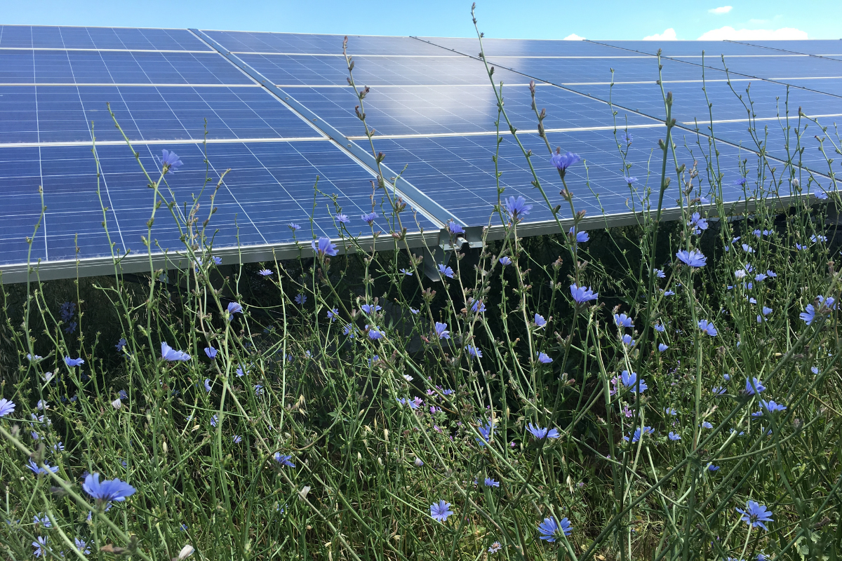 illustration de la dernière édition