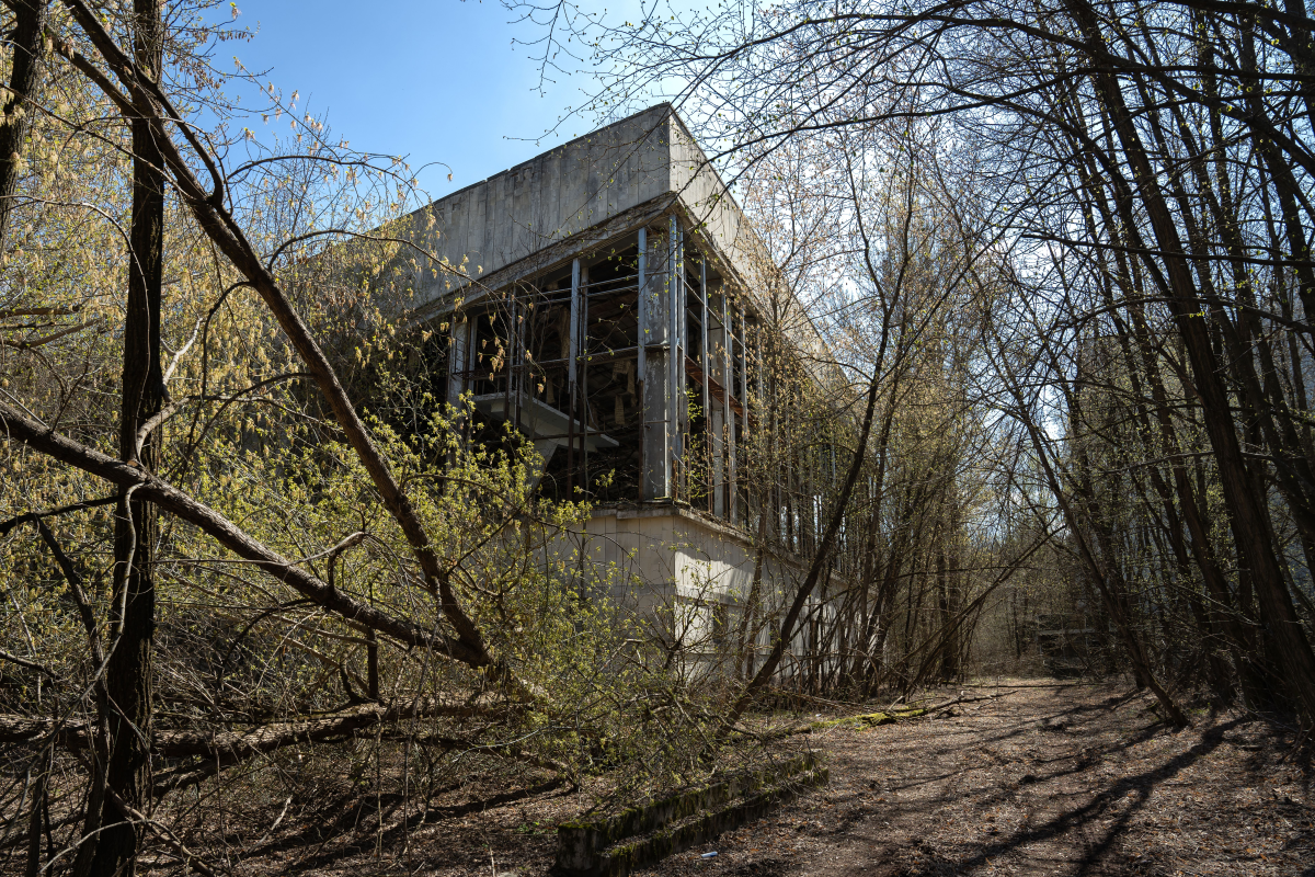 illustration de la dernière édition