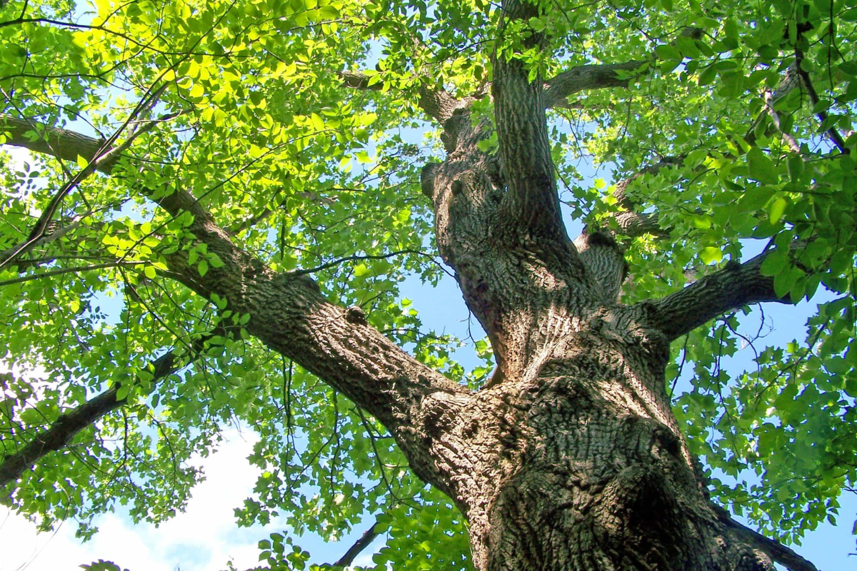 illustration de la dernière édition