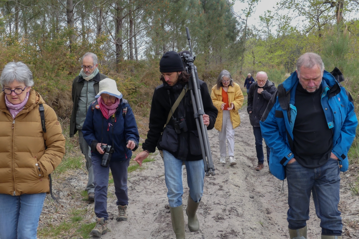 illustration de la dernière édition