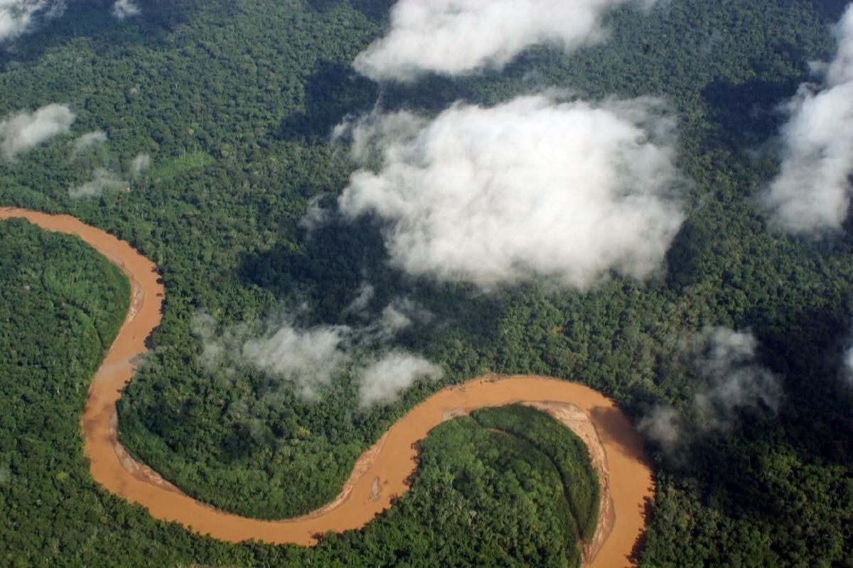 «Un signal d’alarme très fort» : à cause de la déforestation, l’Amazonie risque de se transformer en savane